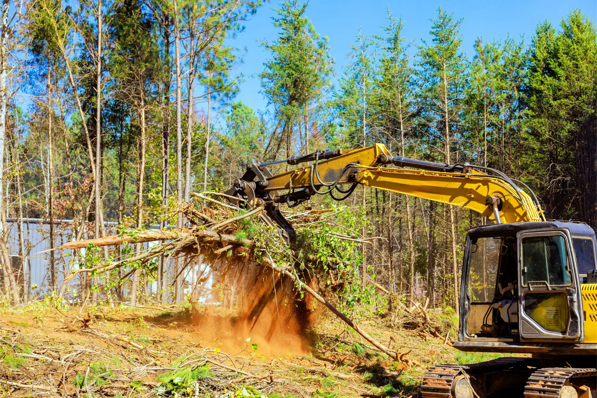 Excavator clearing felled trees on a cleared site