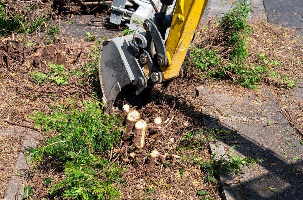Tree and stump removal by Top Shelf Earth Works