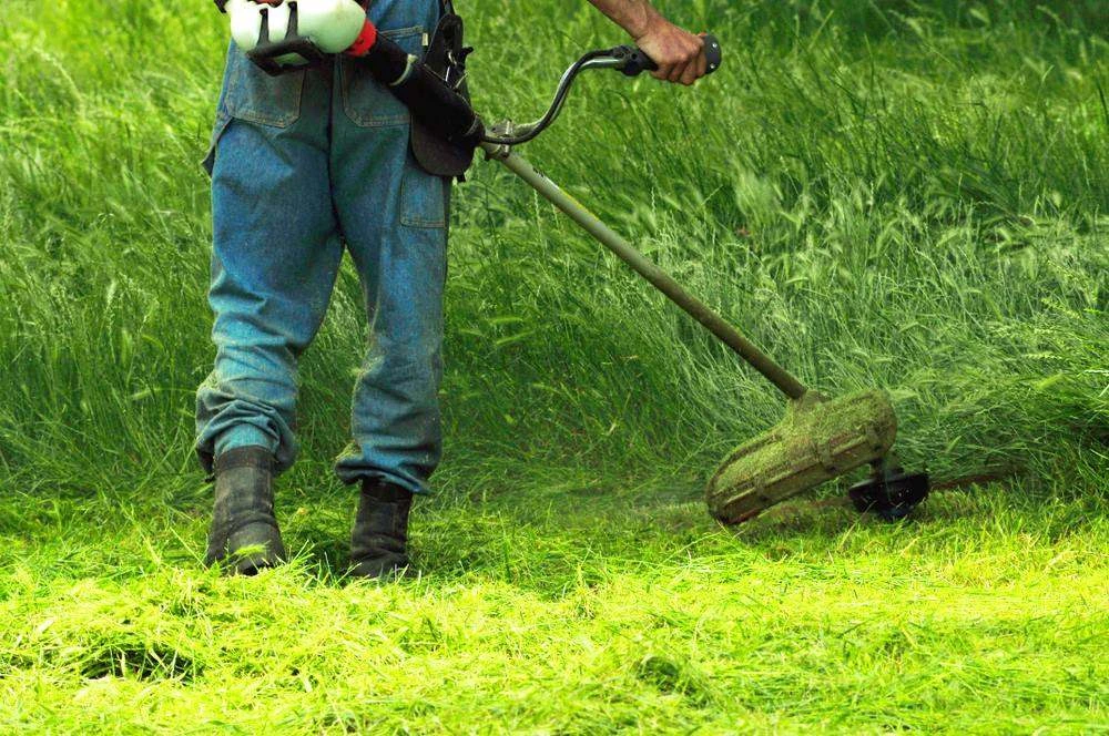Overgrown yard being cleared by Top Shelf Earth Works